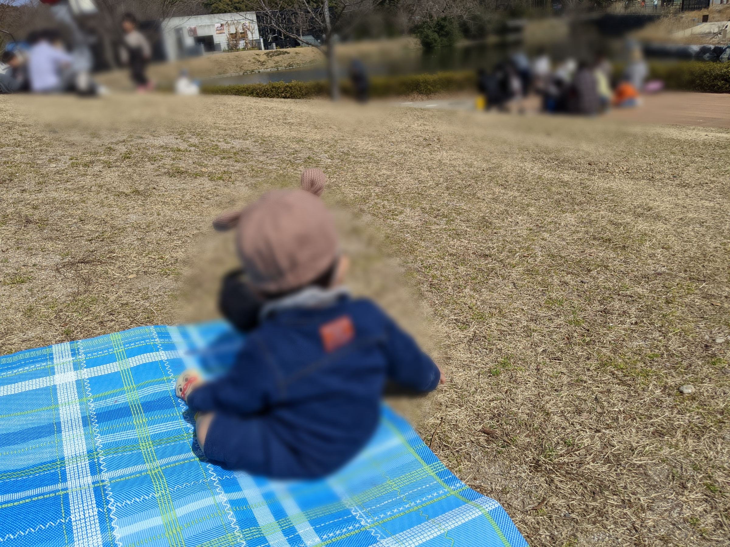 のんほい3